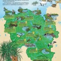 河北《海口市生物多样性地图》发布 系统整合海口陆海全域生态数据